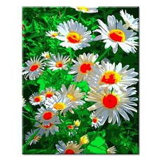 Momofix Painting DIY 數字油畫 40 x 50 cm, J81 菊花花田