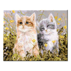 Momofix Painting DIY 數字油畫 40 x 50 cm, G05 野花貓咪