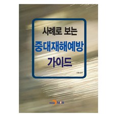 重大災害預防案例指南, 韓國雇傭勞動部, 進韓M&B