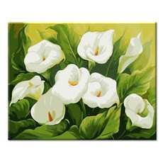 Momofix Painting DIY名畫繪製 40 x 50 cm, 1個, I74 清秀的海芋