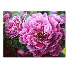 Momofix Painting DIY名畫40x50cm, I73 艷麗牡丹花, 1幅