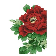 Momofix Painting DIY名畫40x50cm, I45 紅莫克丹花, 1幅