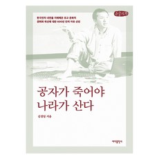 공자가 죽어야 나라가 산다(큰글자책), 바다출판사, 김경일