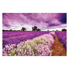 성인 시간떼우기 풍경퍼즐, 라벤더바다, 1개, 1000피스