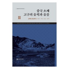 位於中國的高句麗遺跡與文物 3, 金賢淑, 東北亞歷史財團