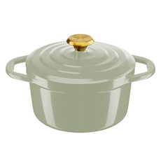 Tefal 特福 電磁爐 陶瓷空氣 鑄鐵雙耳鍋, 20cm, 梨綠色, 1個