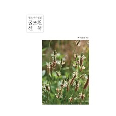 IdamBooks 掘浦川散步 大字體書, 崔正華