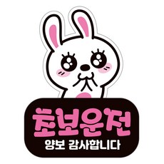 JEJEDECO 汽車可拆卸磁鐵高亮度反光新手駕駛貼紙 LC006, 1個, 混合顏色