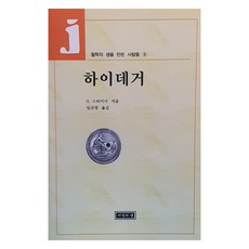 하이데거, 지성의샘