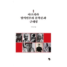 아프리카 탈식민주의 문학론과 근대성, 이석호(저), 이석호