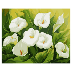 Momofix Painting DIY數字油畫套組 WK21 75 x 60cm, 清秀的馬蹄蓮 綠色 + 白色, 1組