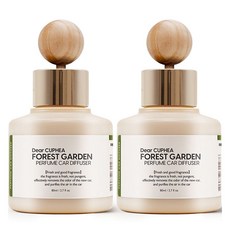 디어쿠페아 차량용 디퓨저 80ml 본품, 2개, 포레스트가든