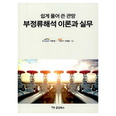 쉽게 풀어 쓴 관망 부정류해석 이론과 실무, 박한영,이현동, 공감북스