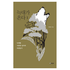 늑대가 온다 1 큰글자도서, 양철북, 최현명
