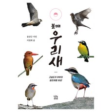 越看越有魅力的我們的鳥：刺蝟夫婦的30年賞鳥之旅, 李敬姬, Nanok