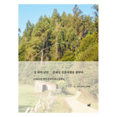 路上的浪漫 夢想朝聖之路蜜月旅行(大字版圖書)：56天的法蘭西珍那朝聖之路, 金莉娜, 權寧範, 克魯