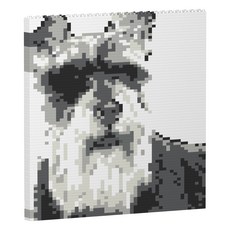 標準雪納瑞圖案積木 S, 混合色, 1個