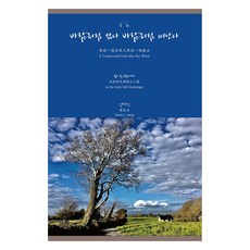 來如風去如風：在聖山隱修院, 梁在五, 9791157211463, 青鳥媒體