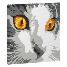 專注貓咪圖案積木 S, 混合顏色, 1個