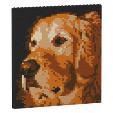 黃金獵犬圖畫積木 S, 混合顏色, 1個