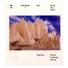 林澤： 移動的山水遊覽記, 林澤, 漢美攝影美術館, 林澤:感動的山川遊記, Im Taek (作者)