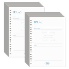 플레픽 프레시 컬러패드 리필속지 아이디어, 2개, 30개입