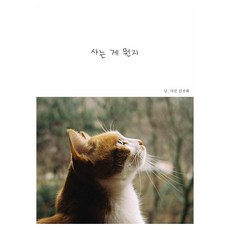 사는 게 뭔지, 심다, 김진화