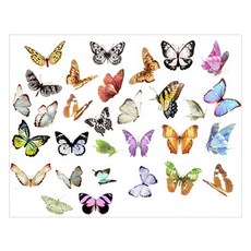 피어니스트 다이어리 꾸미기 빈티지 스티커 세트, 나비, 1세트