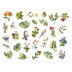 피어니스트 다이어리 꾸미기 빈티지 스티커 세트, 새, 1세트