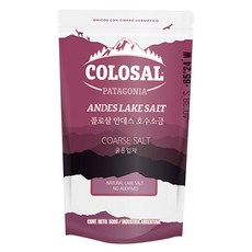 콜로살 안데스 호수 굵은입자 소금, 500g, 1개