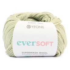 에버소프트울 뜨개실, 02 크림민트, 1개