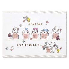 Hallmark 史努比立體祝賀卡 + 信封組 811594, 1套, 混合色