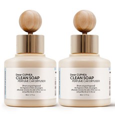 디어쿠페아 퍼퓸 차량용 디퓨저 80ml, 2개, 클린솝