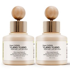 디어쿠페아 퍼퓸 차량용 디퓨저 80ml, 2개, 일랑일랑