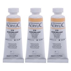 신한화구 전문가 아크릴컬러 튜브 쟌 브릴리언트 3p, 50ml, 1색