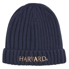 HARVARD KIDS 童款哈佛基本款針織毛帽 HJCTBND44123