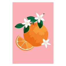 Momofix Painting DIY 數字油畫 10 x 15 cm, A14 橘子, 1個