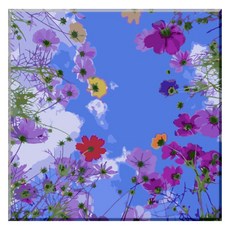 Momofix Painting DIY數字油畫組 40 x 40 cm, F17 大波斯菊