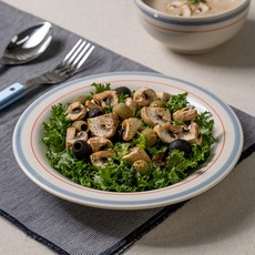 Kanesuzu Fog Coupe碗 2號, 1個, 混合顏色