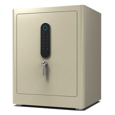 엘르시 프리미엄 금고 ELS-N450 방문설치, 골드