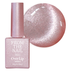 프롬더네일 MAGNET GEL, FG 228, 10g, 1개