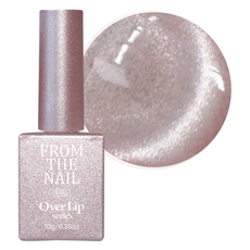 FROM THE NAIL MAGNET GEL, FG 229, 10g, 1個