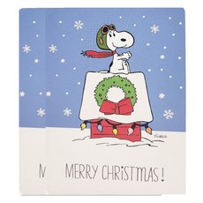 Hallmark 史努比聖誕卡片組 XPC3013, 混色, 2套