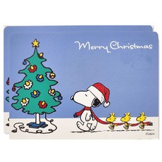 史努比聖誕卡片套組 XPC3011, 混合顏色, 2套