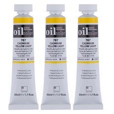 신한화구 전문가 유화물감 3개입, 50ml