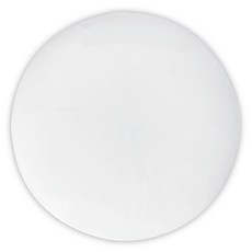 DAYON Wonha DO 無閃爍雪白圓形LED吸頂燈 25W, 1個, 白色(感應燈), 白光(照明顏色)