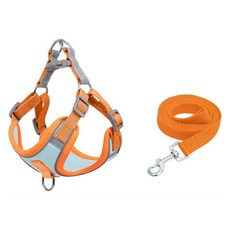 Yoreungae 狗狗彩色基本胸背帶 + 牽繩套組, 01 橘藍色, 1套