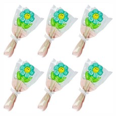 파티공구 데이지꽃다발 풍선키트, 틸, 6개