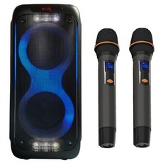 PROBAND 포터블앰프스피커 400W + 무선마이크 2p 세트 PB-250, 혼합색상