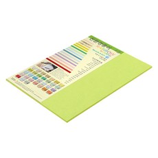 종이문화 레인보우카드 두꺼운 양면카드지 205g 09 브라이트그린, 4절, 7개